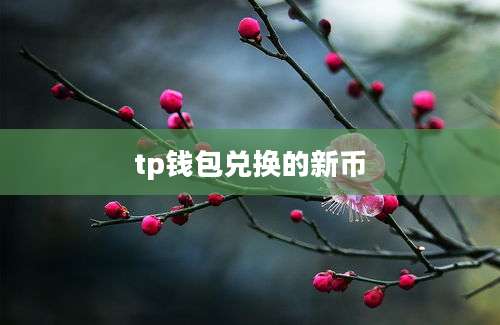 tp钱包兑换的新币