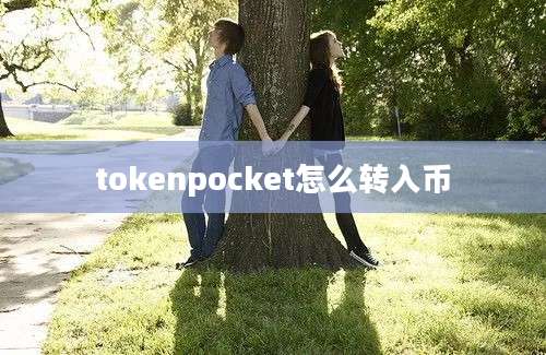 tokenpocket怎么转入币