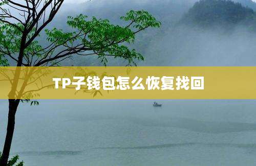 TP子钱包怎么恢复找回