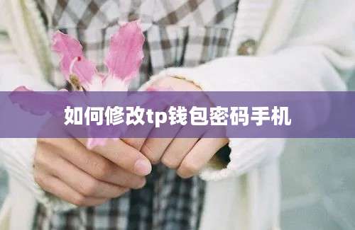 如何修改tp钱包密码手机