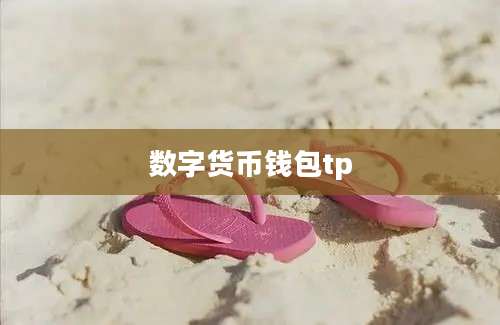数字货币钱包tp