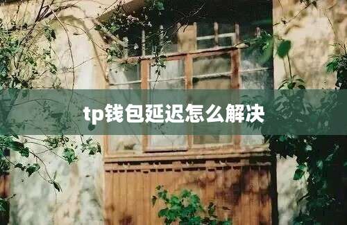 tp钱包延迟怎么解决