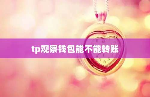 tp观察钱包能不能转账