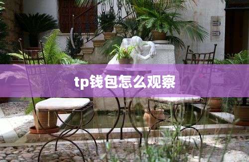 tp钱包怎么观察
