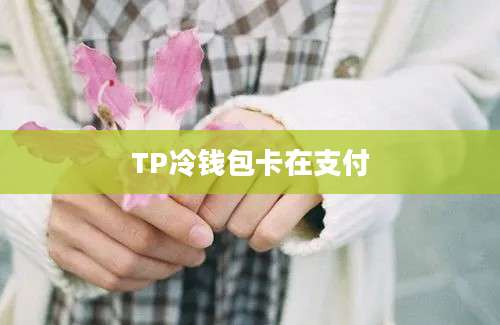 TP冷钱包卡在支付