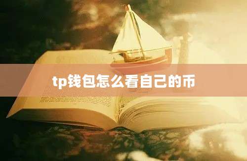 tp钱包怎么看自己的币