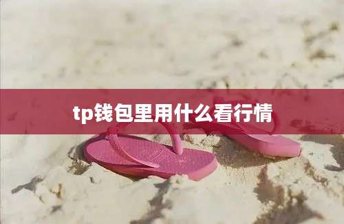 tp钱包里用什么看行情
