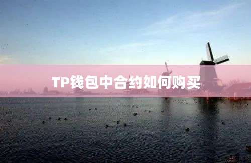 TP钱包中合约如何购买