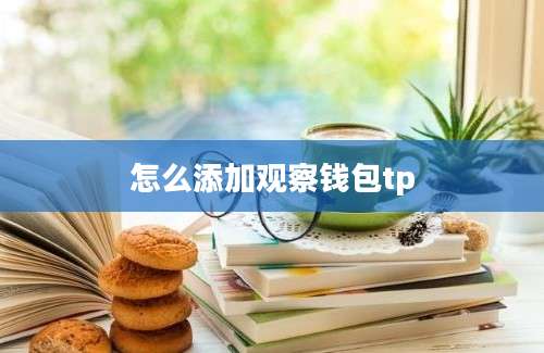 怎么添加观察钱包tp