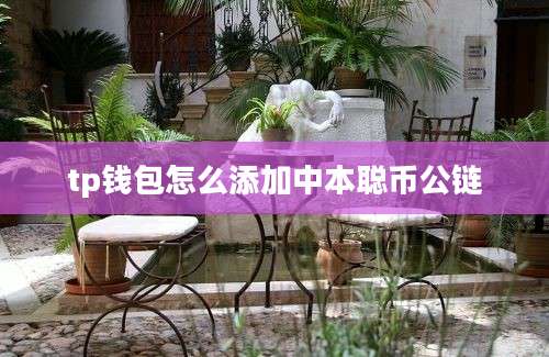 tp钱包怎么添加中本聪币公链