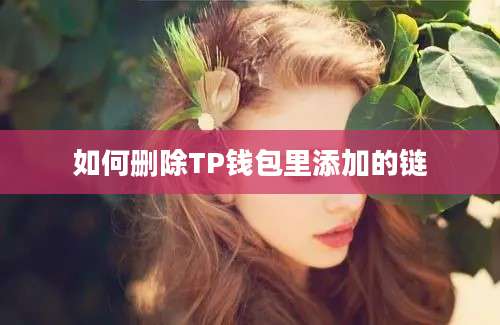 如何删除TP钱包里添加的链