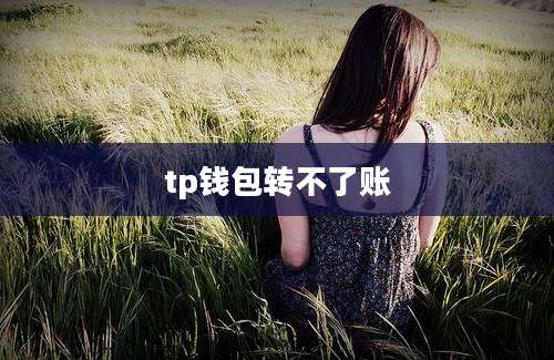 tp钱包转不了账