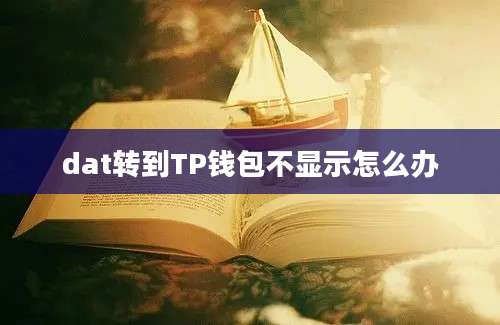 dat转到TP钱包不显示怎么办