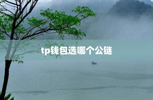 tp钱包选哪个公链