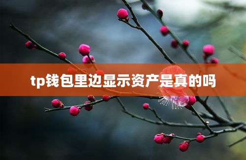 tp钱包里边显示资产是真的吗