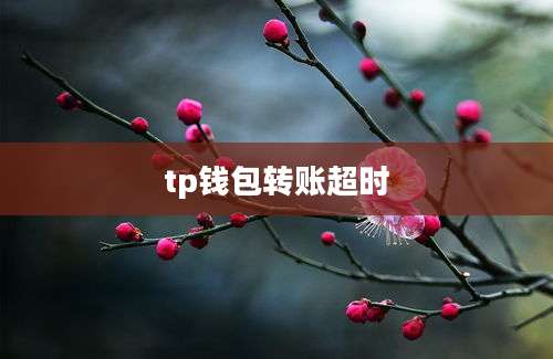 tp钱包转账超时