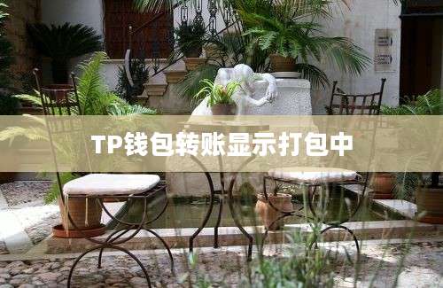 TP钱包转账显示打包中