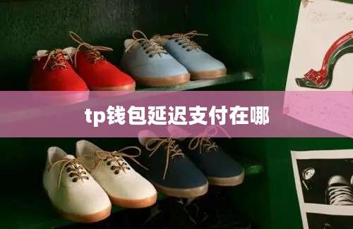 tp钱包延迟支付在哪