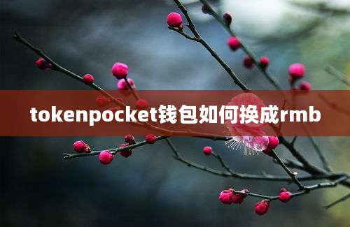 tokenpocket钱包如何换成rmb