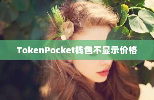 TokenPocket钱包不显示价格
