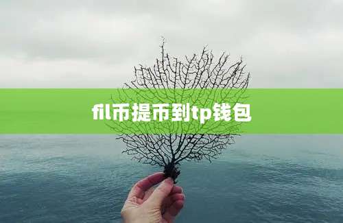 fil币提币到tp钱包