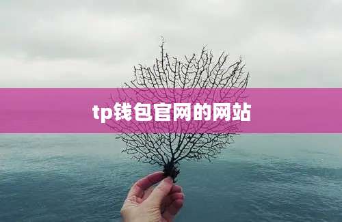 tp钱包官网的网站