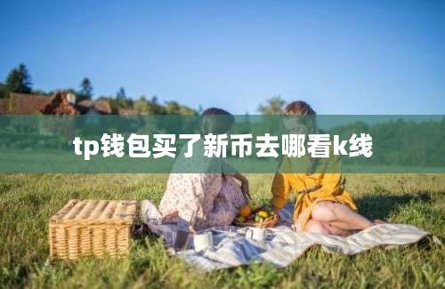 tp钱包买了新币去哪看k线