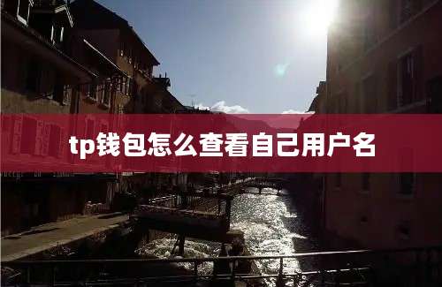 tp钱包怎么查看自己用户名