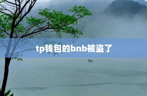 tp钱包的bnb被盗了