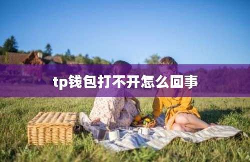 tp钱包打不开怎么回事