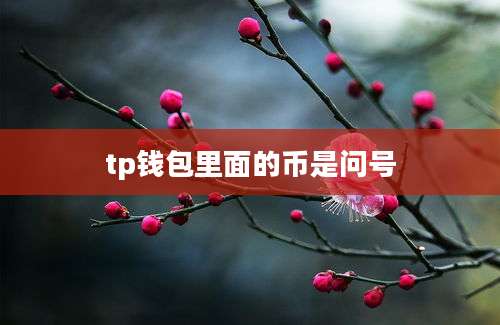 tp钱包里面的币是问号