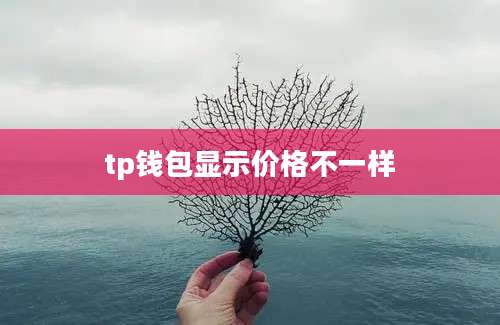 tp钱包显示价格不一样