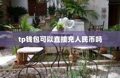 tp钱包可以直接充人民币吗