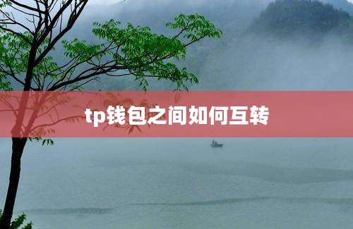 tp钱包之间如何互转