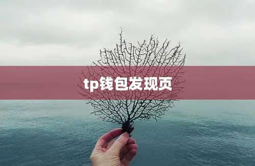 tp钱包发现页