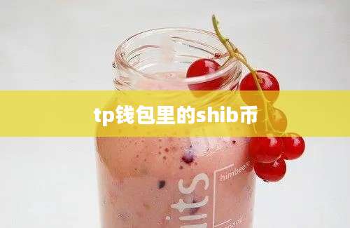 tp钱包里的shib币