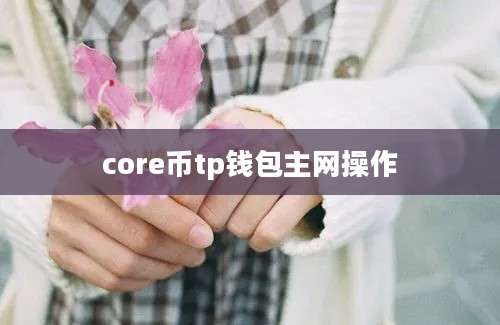 core币tp钱包主网操作