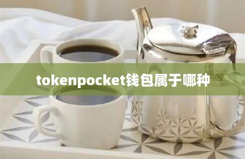 tokenpocket钱包属于哪种
