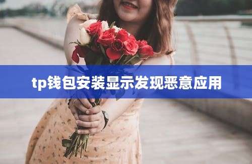 tp钱包安装显示发现恶意应用