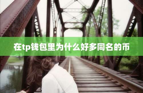 在tp钱包里为什么好多同名的币