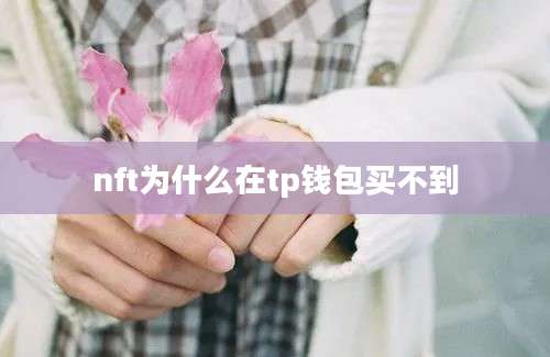 nft为什么在tp钱包买不到