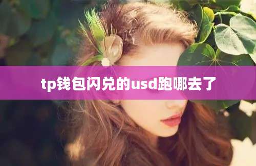 tp钱包闪兑的usd跑哪去了
