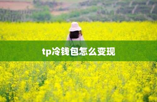 tp冷钱包怎么变现