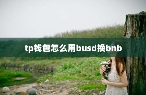 tp钱包怎么用busd换bnb