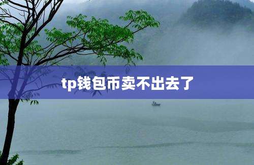tp钱包币卖不出去了