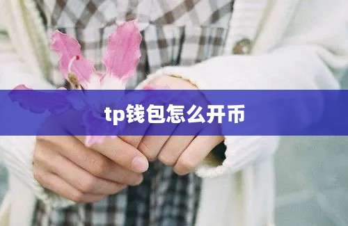tp钱包怎么开币