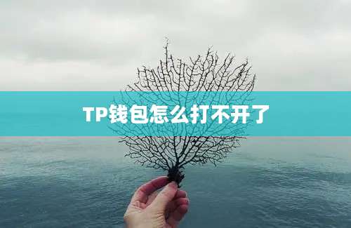 TP钱包怎么打不开了