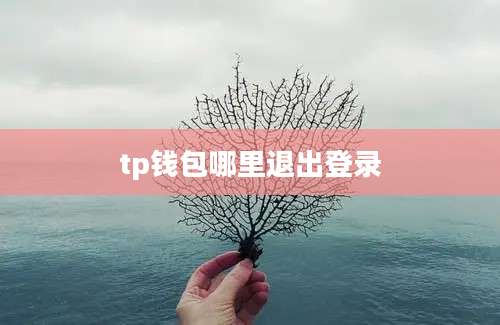 tp钱包哪里退出登录