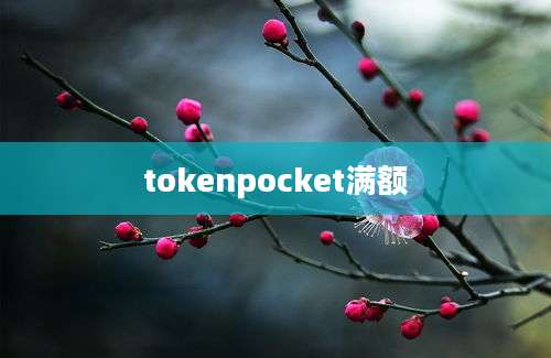 tokenpocket满额