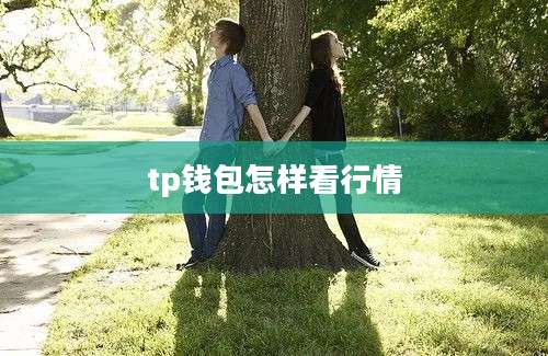tp钱包怎样看行情